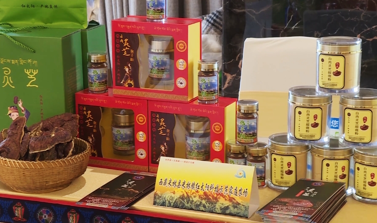 机遇林芝，粤贸未来 “粤贸全国”广东-林芝经贸交流会纪实与展望